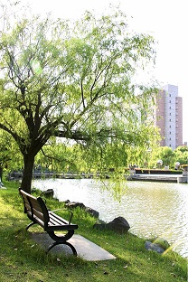 三等奖作品 潘俊湉(摄)