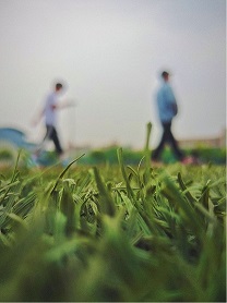 一等奖作品 徐钰博(摄)