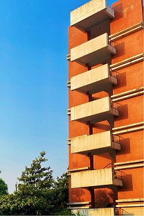 二等奖作品 陈森阳(摄)